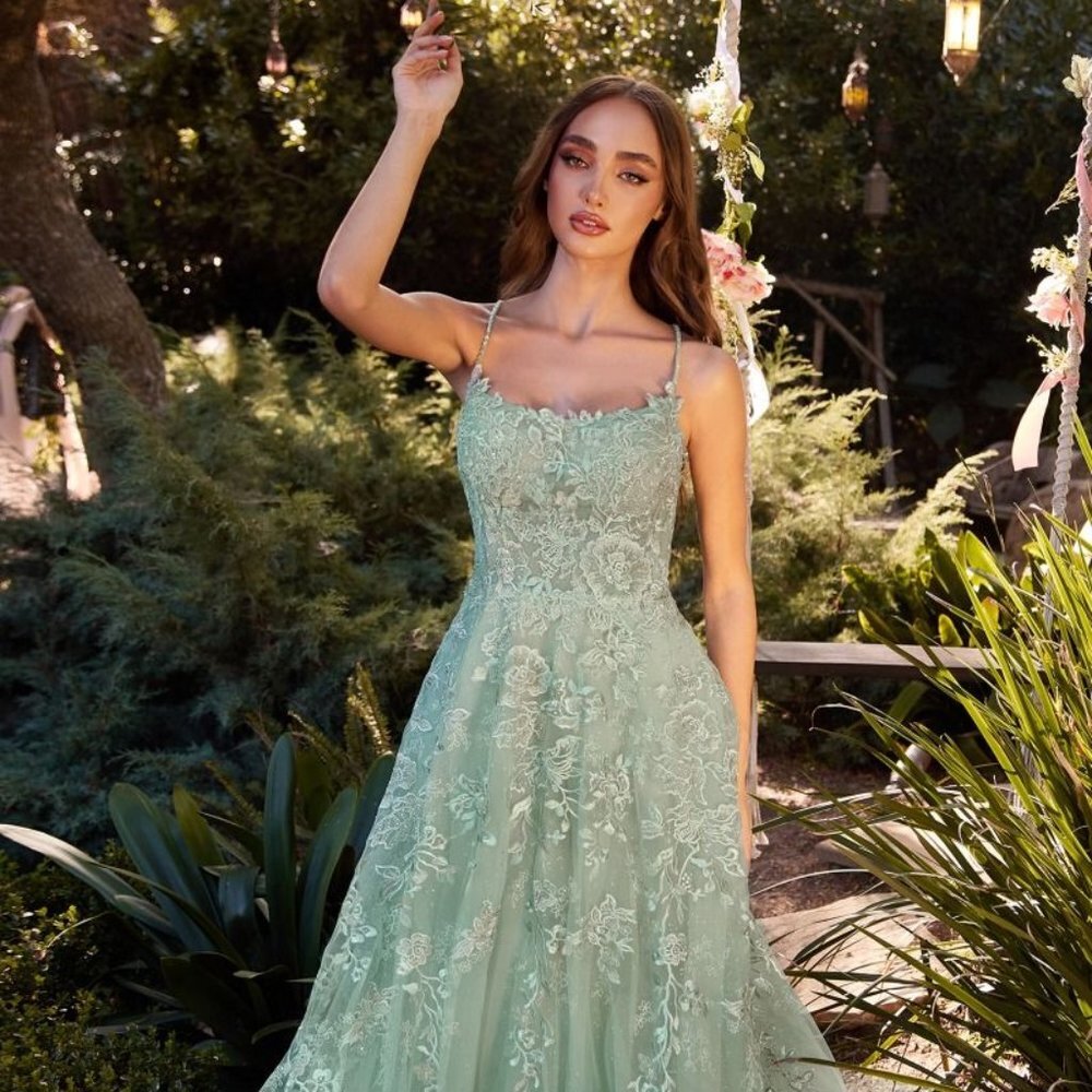 NEW FORMAL SLEEVELESS A-LINE TULLE DRESS EMBROIDERED WITH FLORAL LACE CD A1248 - Picture 4 of 9